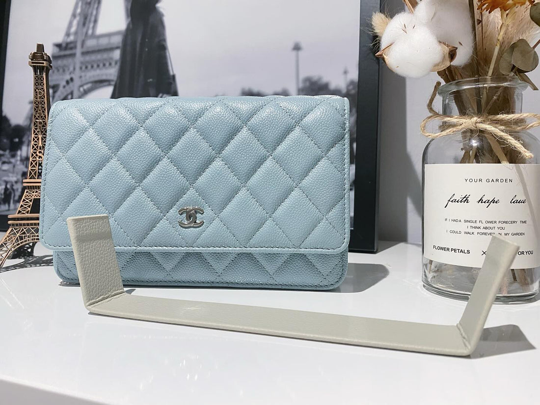 Louis Vuitton Speedy 25, Chanel 22, and Dior Book Tote with base shapers inside