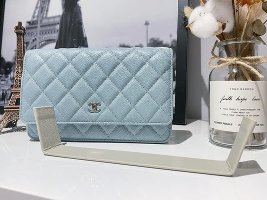 Louis Vuitton Speedy 25, Chanel 22, and Dior Book Tote with base shapers inside